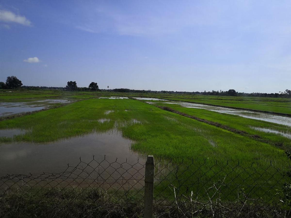 Ummi'S Homestay Besut Kampung Kuala Besut Exteriér fotografie